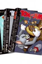 Watch The Million Dollar Cat Sockshare