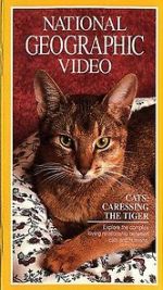Watch Cats: Caressing the Tiger Sockshare
