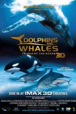 Watch Dolphins and Whales 3D Tribes of the Ocean Sockshare