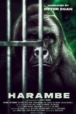 Watch Harambe Sockshare