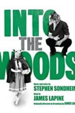 Watch Into the Woods Sockshare