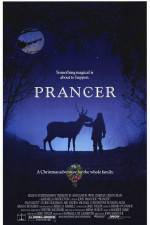 Watch Prancer Sockshare