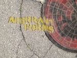 Watch Aberrant Forms: A Jurassic Short Sockshare