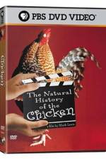 Watch The Natural History of the Chicken Sockshare
