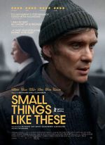 Watch Small Things Like These Sockshare