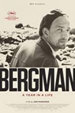 Watch Bergman: A Year in the Life Sockshare