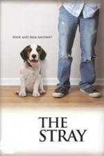 Watch The Stray Sockshare