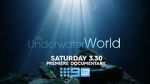 Watch My Underwater World (TV Special 2024) Sockshare