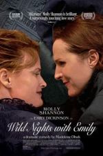 Watch Wild Nights with Emily Sockshare