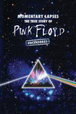 Watch Pink Floyd: Momentary Lapses - The True Story Of Pink Floyd Sockshare