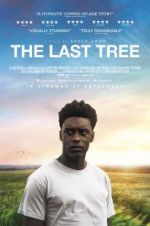 Watch The Last Tree Sockshare