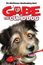 Watch Gabe the Cupid Dog Sockshare