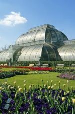 Watch Cruickshank on Kew: The Garden That Changed the World Sockshare