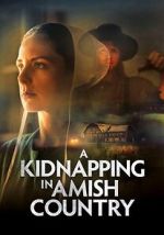 Watch A Kidnapping in Amish Country Sockshare