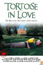 Watch Tortoise in Love Sockshare