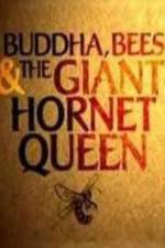 Watch Natural World Buddha Bees and the Giant Hornet Queen Sockshare