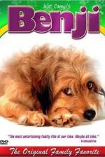 Watch Benji Sockshare