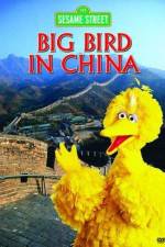 Watch Big Bird in China Sockshare