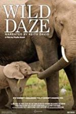 Watch Wild Daze Sockshare