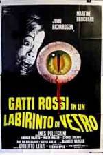 Watch Gatti rossi in un labirinto di vetro Sockshare