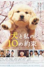 Watch 10 Promises to My Dog (Inu to watashi no 10 no yakusoku) Sockshare