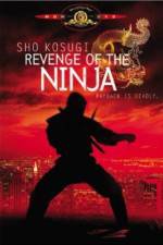 Watch Revenge of the Ninja Sockshare