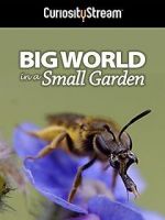Watch Big World in a Small Garden (TV Short 2016) Sockshare