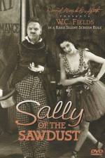 Watch Sally of the Sawdust Sockshare