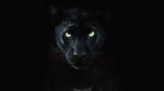 Watch The Real Black Panther (Short 2020) Sockshare