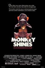 Watch Monkey Shines Sockshare