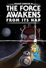 Watch The Force Awakens from Its Nap Sockshare
