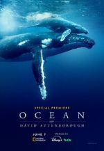 Watch Ocean with David Attenborough Sockshare