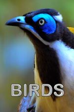Watch Birds (Short 2021) Sockshare