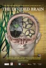 Watch The Divided Brain Sockshare