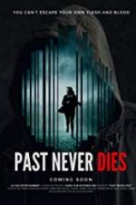 Watch The Past Never Dies Sockshare