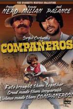 Watch Companeros Sockshare