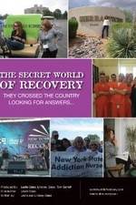 Watch The Secret World of Recovery Sockshare