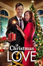 Watch A Christmas Love Sockshare
