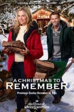 Watch A Christmas to Remember Sockshare