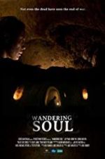 Watch Wandering Soul Sockshare
