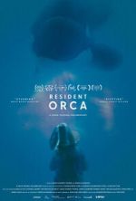 Watch Resident Orca Sockshare