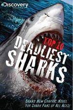 Watch National Geographic Worlds Deadliest Sharks Sockshare