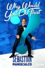 Watch Sebastian Maniscalco Why Would You Do That Sockshare