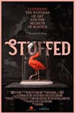 Watch Stuffed Sockshare