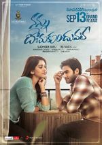 Watch Nannu Dochukunduvate Sockshare