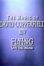 Watch The Magic of David Copperfield XIV Flying - Live the Dream Sockshare