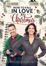 Watch How to Fall in Love by Christmas Sockshare