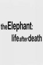 Watch The Elephant - Life After Death Sockshare
