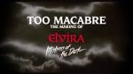 Watch Too Macabre: The Making of Elvira, Mistress of the Dark Sockshare