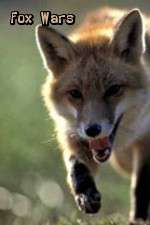 Watch Fox Wars Sockshare